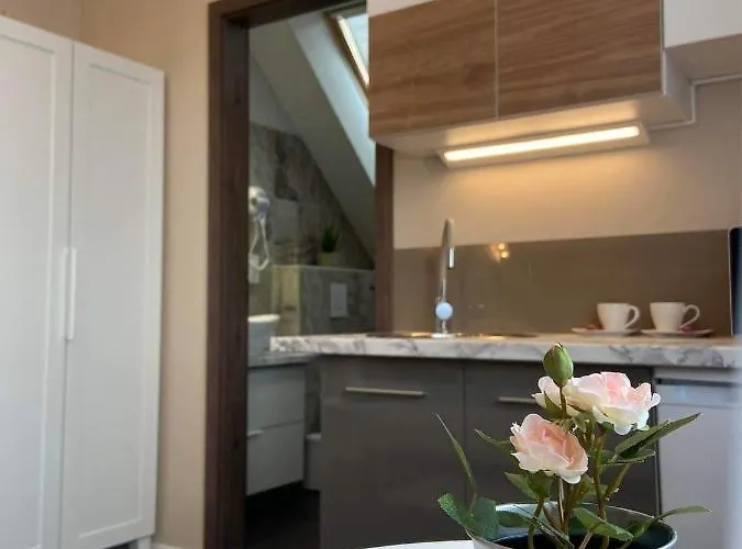 Corner 招待所 蒂豪尼